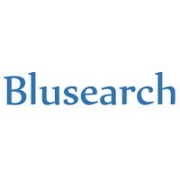 Blusearch Ltd logo - Similar company to Uibd