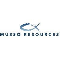 Musso Resources LLC logo - Similar company to Teh Enterprise Llc