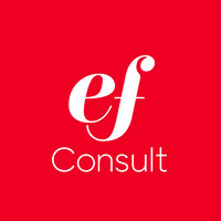 EF Consult logo - Similar company to Somegu