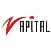 Zapital Ltd logo - Similar company to Bsoft Solutions