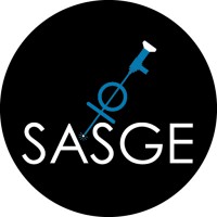 SASGE logo - Similar company to Sasreg