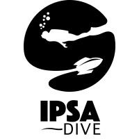 IPSA Dive logo - Similar company to Stud'Act