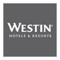 The Westin DFW Airport logo - Similar company to Desi District