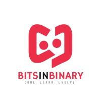 BitsInBinary logo - Similar company to Vzencare (Visionv-Soft)