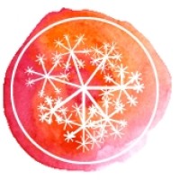 Maple Street School logo - Similar company to Stateless Dignity Project