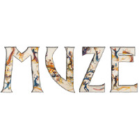 Muze logo - Similar company to Prxy Ai