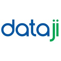 DataJi logo - Similar company to Esg