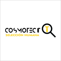 CosmoTec IT logo - Similar company to Improve Resources