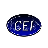 CEI Space Systems Research and Development Training logo - Similar company to Microcosm Ltd