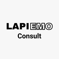 Lapi Emo Consult logo - Similar company to Vanden Broele