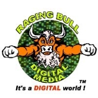 Raging Bull™ Media Group logo - Similar company to Space Oddity