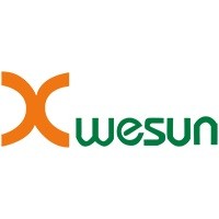 Xwesun logo - Similar company to Shenzhen Datouren Industrial Co., Ltd.