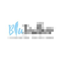 Blufeather Clothing Solutions logo - Similar company to Orios