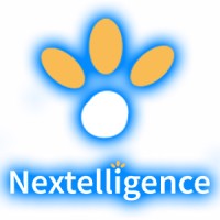 Nextelligence, Inc.