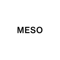 MESO logo - Similar company to Sarott Design