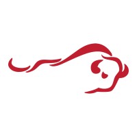 Bison Life logo - Similar company to Bison Group