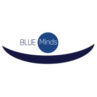 Blue Minds logo - Similar company to Isource Group Llc