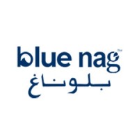 Blue Nag logo - Similar company to Singleton Professional Systems