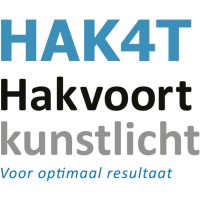 Hakvoort kunstlicht logo - Similar company to Major. Suites | Curaçao