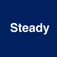 Steady logo - Similar company to Vigizen