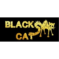 BlackCat Brassard logo - Similar company to Tanit Evolution