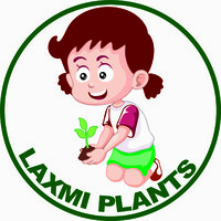 Laxmi Plants logo - Similar company to Rezolv