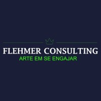 FLEHMER CONSULTING