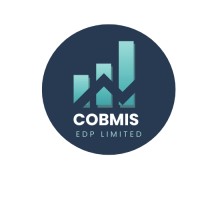 COBMIS EDP logo - Similar company to Finqual