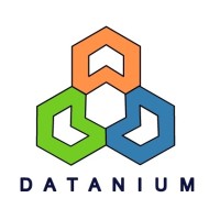 DATANIUM logo - Similar company to Technosup