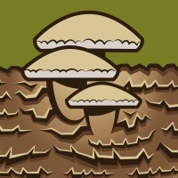 CoguPack logo - Similar company to Zucca Alimentos