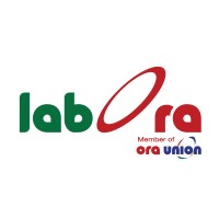 Labora NGO logo - Similar company to Arab Open University - Lebanon