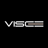 VisceGroup IT company logo - Similar company to Mitrasoft It-Company