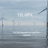 TILAPA- The International Law and Policy Advisory logo - Similar company to Setting The Bar