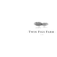 Twin Figs Farm logo - Similar company to Finefig - Premium Dried Figs