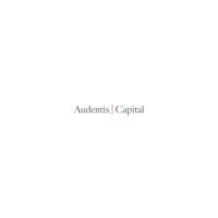 Audentis Capital logo - Similar company to Audentis Energy