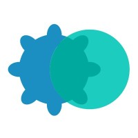 Chromatiscope logo - Similar company to The Connected Ideas Project