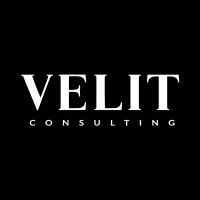 VELIT Consulting GmbH & Co. KG logo - Similar company to Let'S Dev Gmbh & Co. Kg