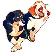 Nom d'un Chien ! logo - Similar company to Spectron Car Modifier