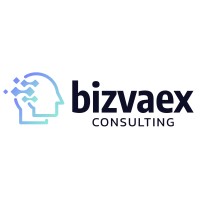 Bizvaex Consulting logo - Similar company to Evoligence