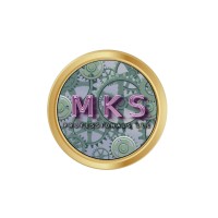 MKS Professionals LLC logo - Similar company to Regency Security Group