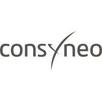 consyneo GmbH logo - Similar company to Finwave Gmbh