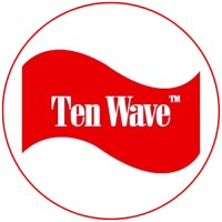 Tenwave Infotech Pvt. Ltd. - Enterprise Solutions logo - Similar company to Tns Networking Solution Pvt Ltd