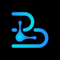 Bizlinx Ltd logo - Similar company to Sustainable Finance Solutions