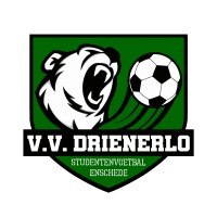 v.v. Drienerlo logo - Similar company to Webscoped