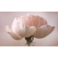 Olga Bumann Photography