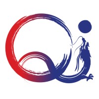 Qi League logo - Similar company to Skade