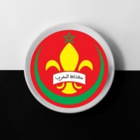 Scouts of Morocco Marrakech-Gueliz logo - Similar company to Association Qualinet