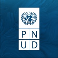 PNUD TCHAD logo - Similar company to Chad Innovation