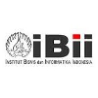 iBii logo - Similar company to Idard_Org