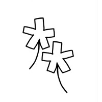 Gato Studio logo - Similar company to Bokatta
